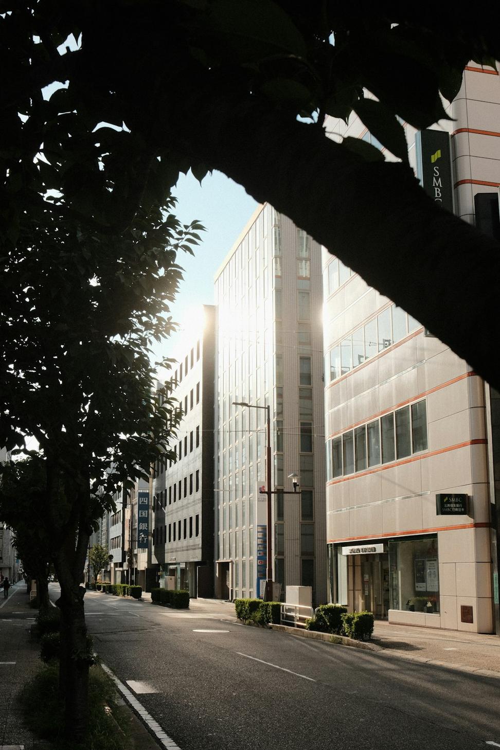 Commercial Project